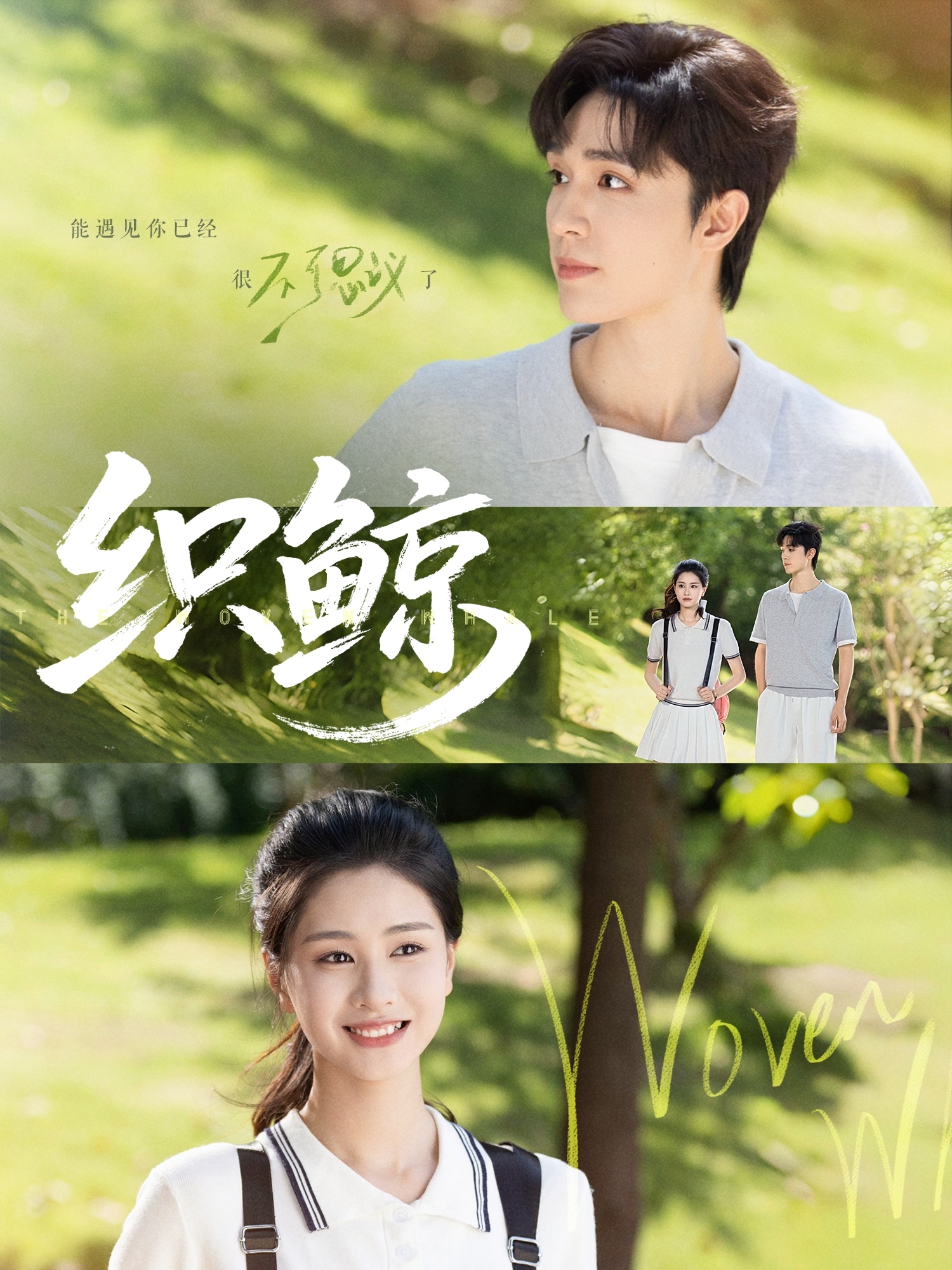 织鲸(全集)